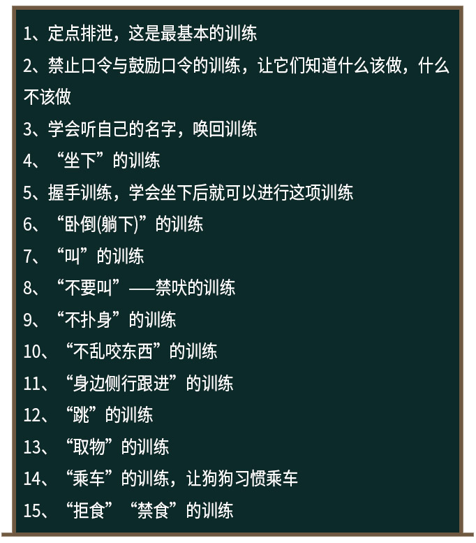 1568013858754475.jpg 基本訓練15條.jpg