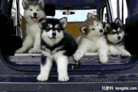 微信圖片_20190925141340.gif